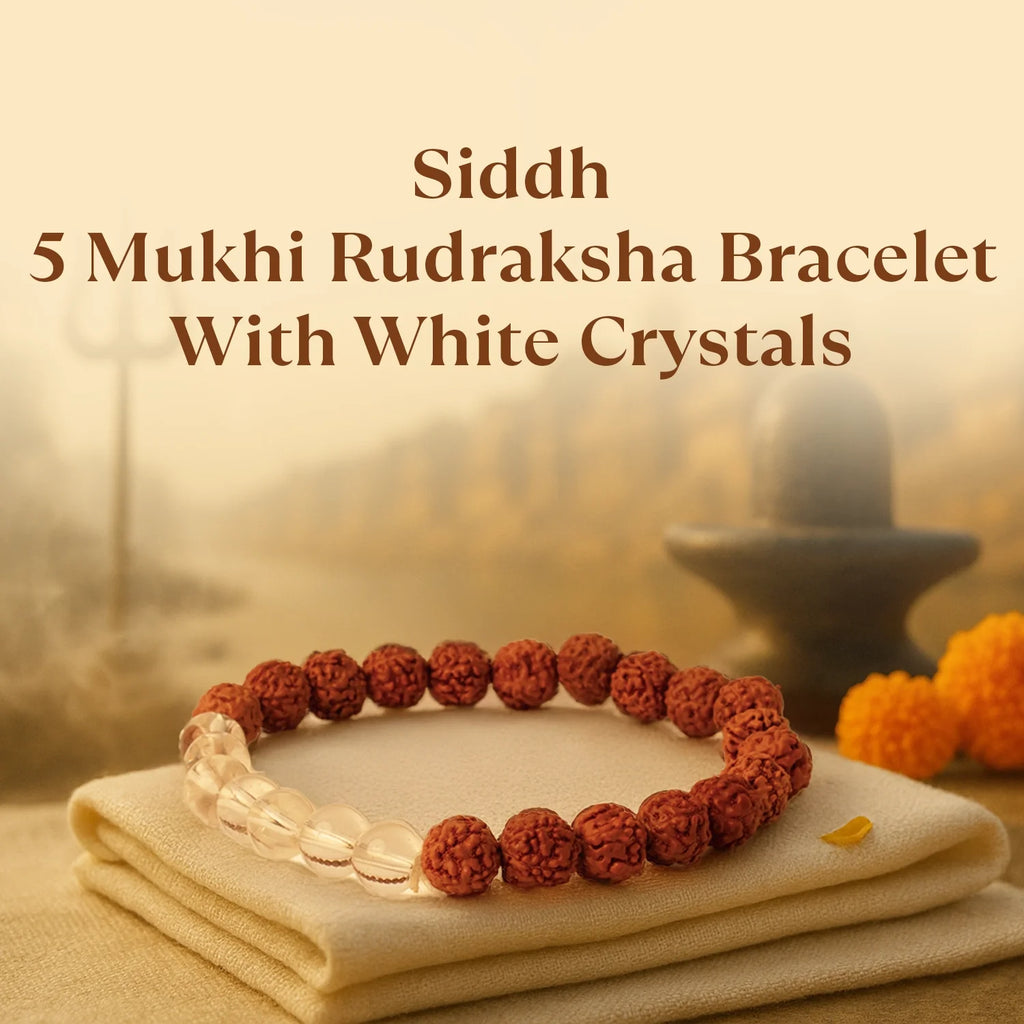 Kashi Siddh 5 Mukhi Rudraksha Bracelet With White Crystals