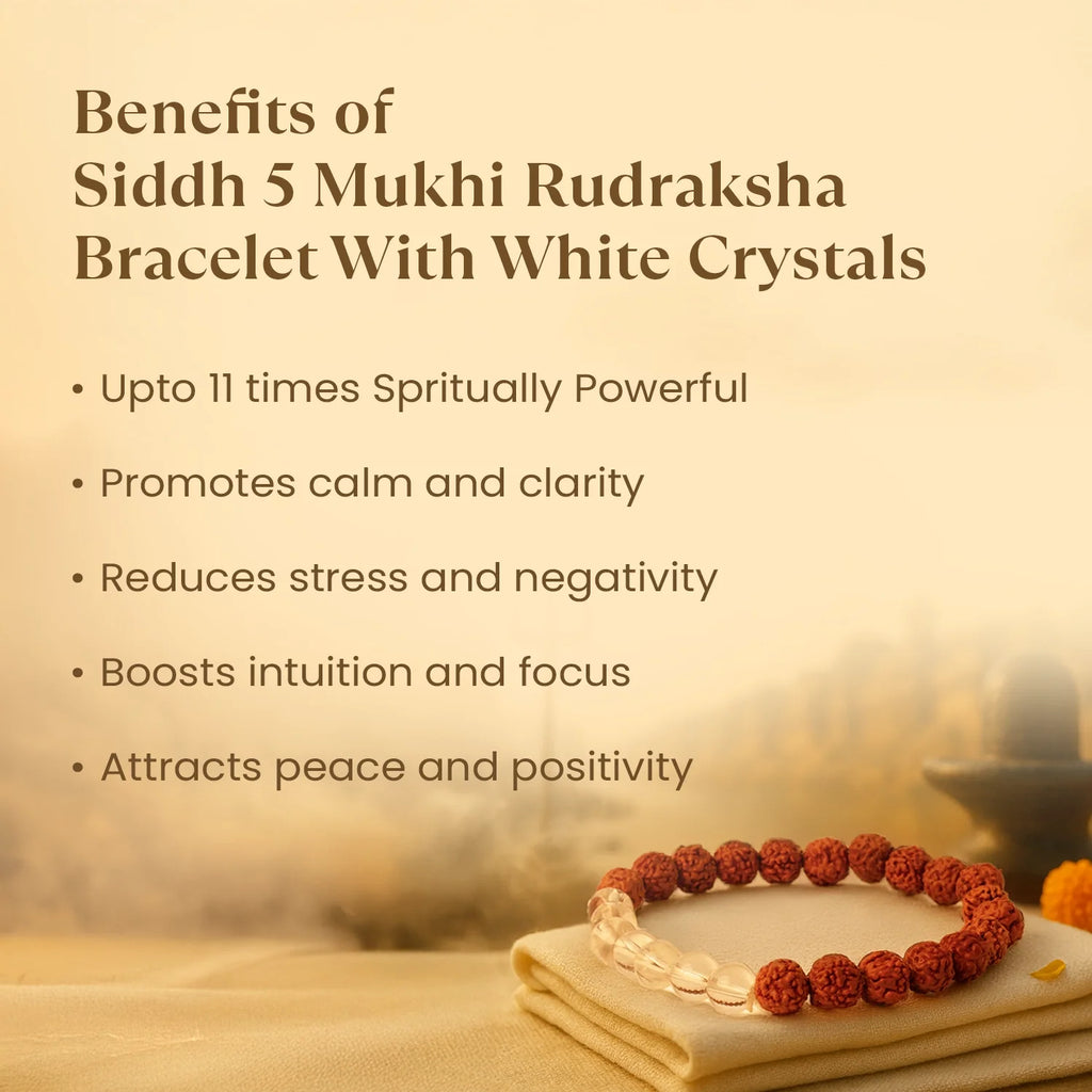 Kashi Siddh 5 Mukhi Rudraksha Bracelet With White Crystals