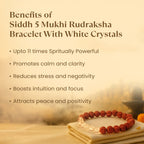 Kashi Siddh 5 Mukhi Rudraksha Bracelet With White Crystals