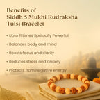 Kashi Siddh 5 Mukhi Rudraksha Tulsi Bracelet