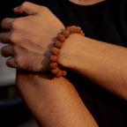 Kashi Siddh 7 Mukhi Rudraksha Bracelet