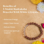 5 Mukhi Rudraksha Bracelet With White Crystals