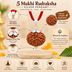 5 Mukhi Rudraksha Pure Silver Pendant | Original Five Faced Rudraksha | Lab Certified