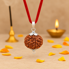 5 Mukhi Rudraksha Pure Silver Pendant | Original Five Faced Rudraksha | Lab Certified