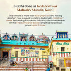 Kashi Siddh Dhan Rudraksha Bracelet